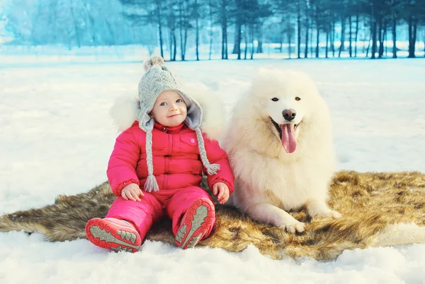 Happy little child with white Samoyed dog sitting on snow in win — Stock Photo, Image