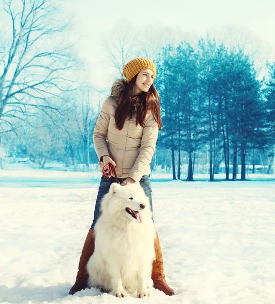 Femme propriétaire marchant avec chien Samoyed blanc dans le parc d'hiver — Photo