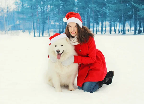 Mujer con perro Samoyedo blanco con sombreros rojos de Santa en invierno —  Fotos de Stock