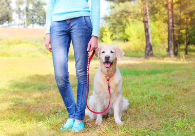 Golden Retriever köpek birlikte parkta yürüyüş ile sahibi kadın