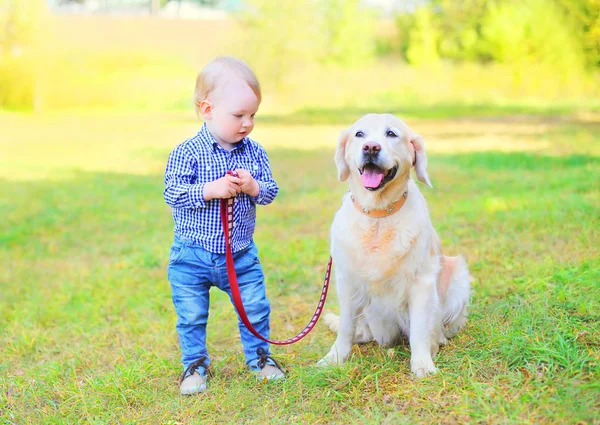 Liten pojke barn med Golden Retriever hund på gräset i solig dag — Stockfoto