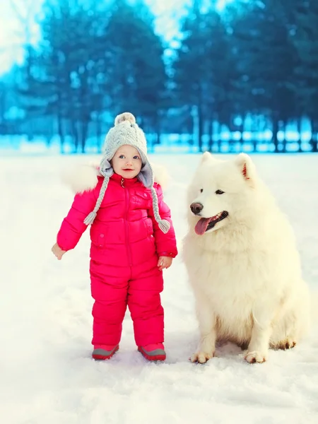 Child with white Samoyed dog on snow in winter day — Stock Photo, Image