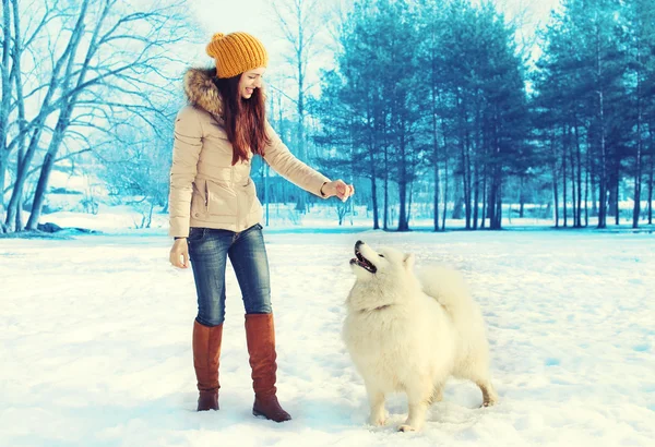 Belle propriétaire femme avec chien Samoyed blanc dans le parc d'hiver — Photo