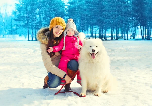 Gelukkig familie moeder en kind met witte Samojeed hond wandelen in — Stockfoto