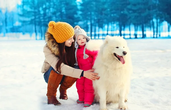 Happy mother and child walking with white Samoyed dog in winter — Stock Photo, Image