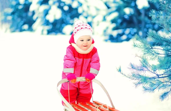 Boldog gyermek játszó szán a hó a téli nap — Stock Fotó