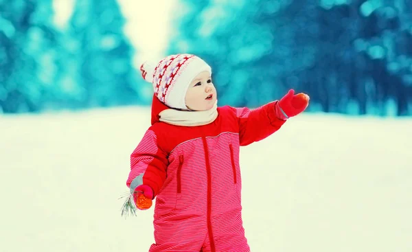 雪に覆われた冬の森を歩く幸せな小さな子 — ストック写真