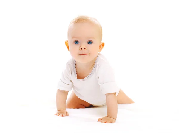 Carino piccolo bambino striscia su uno sfondo bianco — Foto Stock