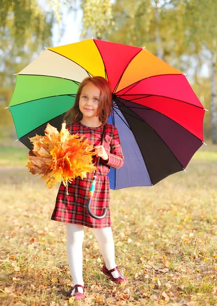 Güzel küçük bir kız çocuğu ve sonbahar günü içinde renkli şemsiye — Stok fotoğraf