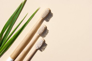 Bambu diş fırçaları ve arka planda yeşil çimenler. Plastik konsepte hayır de. Üst görünüm, boşluk kopyala, düz çizgi.