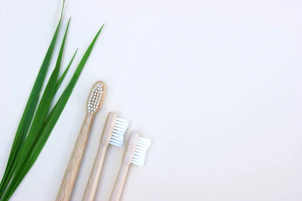 Bamboo Toothbrushes Green Grass Light Background Say Plastic Concept Top — Stock Photo, Image