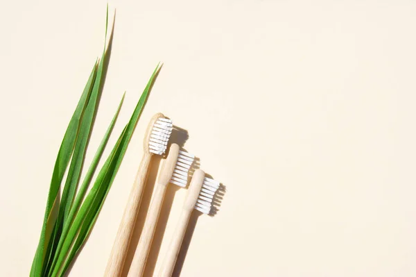 Bamboo Toothbrushes Green Grass Light Background Say Plastic Concept Top — Stock Photo, Image