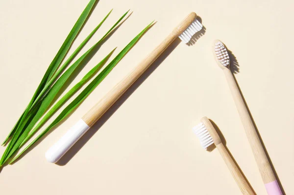 Bamboo Toothbrushes Green Grass Light Background Say Plastic Concept Top — Stock Photo, Image