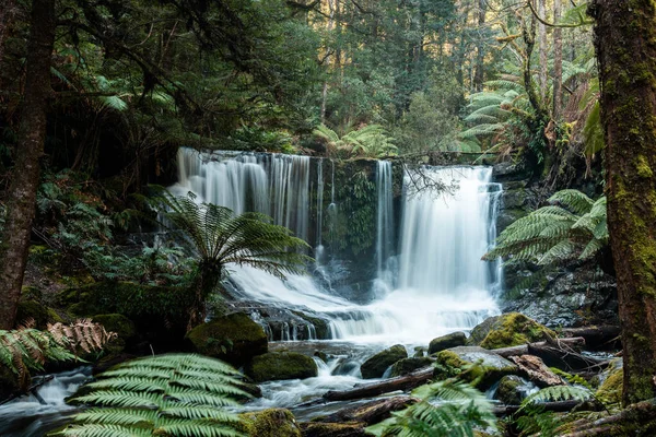 Bereketli Tazmanya yağmur ormanları şelalesi, Russell ve Horseshoe Şelalesinin tadını çıkaran yürüyüşçüler.