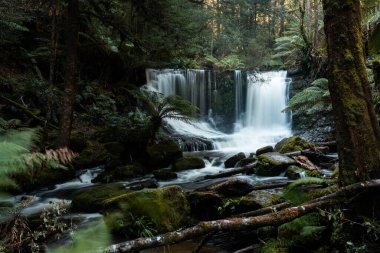 Bereketli Tazmanya yağmur ormanları şelalesi, Russell ve Horseshoe Şelalesinin tadını çıkaran yürüyüşçüler.