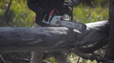 Elektrikli testere ile ağaçları kesen çiftçi