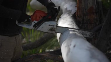 Elektrikli testere ile ağaçları kesen çiftçi