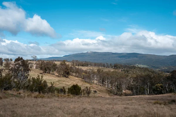 Avustralya inekleri çiftlikte yenileyici sığır çiftliği, karbon nötr çiftlik, ve toprak sağlığı odaklı