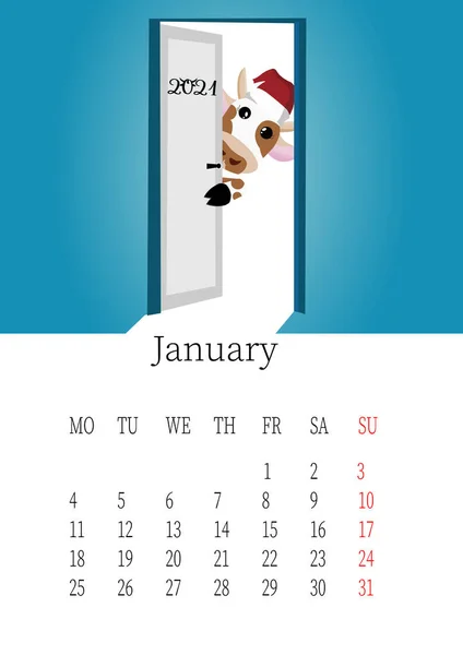 Январь 2021 Года Календарный Месяц Быком Смешной Новогодней Шляпе Открытая — стоковое фото
