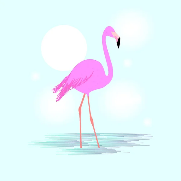 Flamingo Rosa Ilustração Vetorial Plana Flamingo — Vetor de Stock