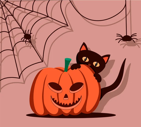 Halloween-pumpa. En svart katt gömmer sig bakom en pumpa. Spindlar på väggarna med en mörk skugga. Glad halloween illustration. Vektorillustration — Stock vektor