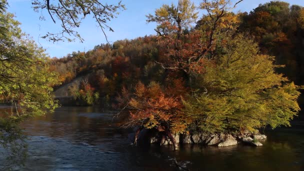 Neuhausen Oktober 2020 Idyllische Herbstliche Natur Rhein — Stockvideo