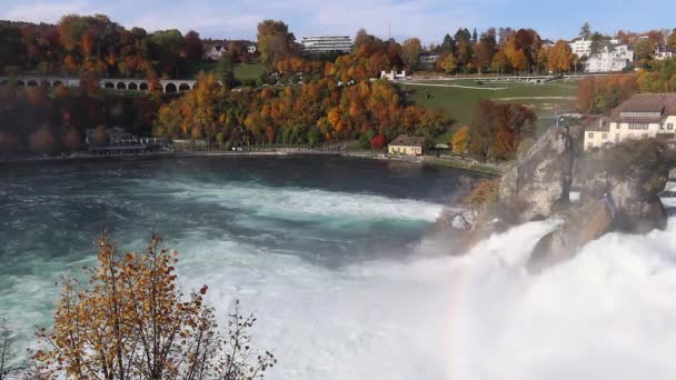 瑞士莱茵河瀑布 2020年10月24日 莱茵河瀑布的秋季景观 欧洲最大的瀑布 位于瑞士苏黎世州和沙夫豪森州边境 — 图库视频影像
