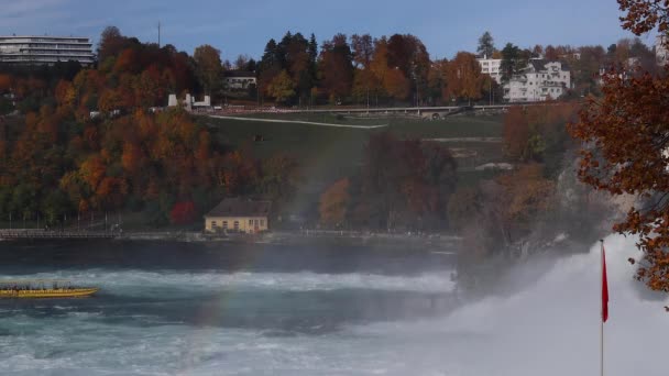 瑞士莱茵河瀑布 2020年10月24日 莱茵河瀑布的秋天 欧洲最大的瀑布 那条黄色的旅游船非常接近瀑布的急流 — 图库视频影像