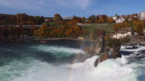 Chutes Rhin Suisse Octobre 2020 Automne Aux Chutes Rhin Grande — Video