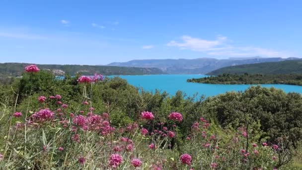 Bauduen Fransa Temmuz 2020 Kutsal Haç Gölü Lac Sainte Croix — Stok video