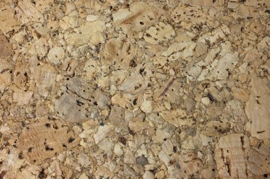 Mantar panonun kahverengi sarı rengi desenli arka plan