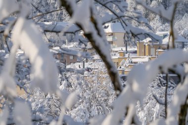 Karlı Zürih ve İsviçre 'den kış çerçeve sahnesi - Rutihof' un karla kaplı dalları arasındaki manzarası.