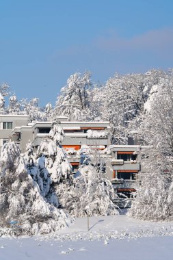 Karlı Zürih ve İsviçre 'den kış sahneleri. Karla kaplı ağaçlarla çevrili apartman blokları
