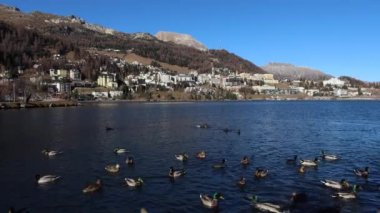 Gölü ile birlikte St. Moritz İsviçre 'nin Engadine şehrinde 1800 metre yüksekliğinde yüksek bir Alp tatil köyüdür.