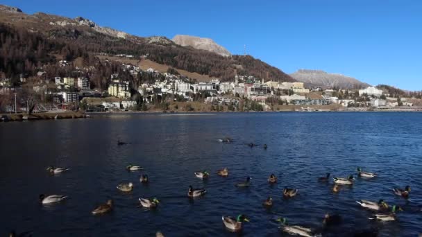 Moritz Com Seu Lago Uma Alta Cidade Resort Alpino Engadine — Vídeo de Stock