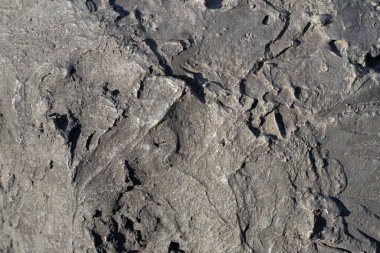 Gri taş kayanın yüzeyinin yapısı arka plan için kullanışlıdır.