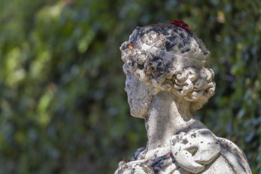 İsviçre 'nin Morcote köyündeki Scherrer Bahçesi' ndeki antik bir heykelin başı.