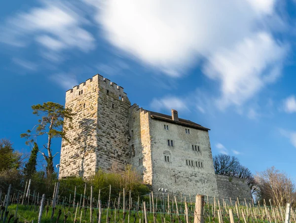 Habsburg Şatosu, Aargau, Switzeland 'da bulunan Habsburg Sarayı, Avrupa' nın önde gelen imparatorluk ve kraliyet hanedanlarından biri haline gelen Habsburg Hanedanı 'nın esas yeridir..