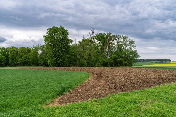 Champ Labouré Avec Fond Forêt Ciel Spectaculaire Avec Des Nuages — Photo