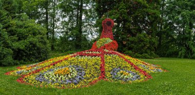 Alman çiçek adası Insel Mainau 'da çiçek tavus kuşu