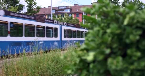 Zurigo Svizzera Giugno 2021 Scena Rivelatrice Tram Bianco Blu Zurigo — Video Stock