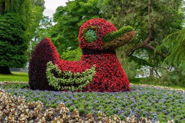 Çiçek adasındaki Alman botanik bahçesinde çiçek ördeği Insel Mainau
