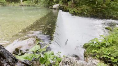 Slovenya 'daki Kamnika Bistrica Nehri' nin kaynağı buzul kökenli bir Alp Vadisi. 