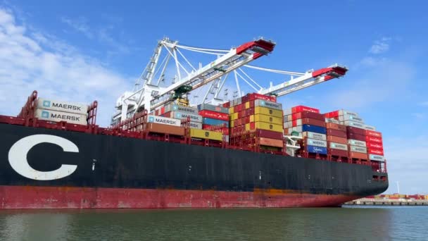 Havre Francia Luglio 2021 Scarico Containership Amburgo Della Società Msc — Video Stock