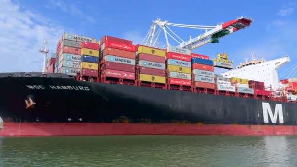 Havre Francia Julio 2021 Containership Hamburg Empresa Msc Líder Mundial — Vídeos de Stock