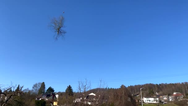 スイス ディエルスドルフ 2021年4月6日 ヘリコプターにより空気中に運ばれる乾燥木 — ストック動画