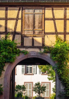 Ribeauville, Alsace, Fransa 'da kemerli girişi ve yeşilliği olan büyüleyici yarı keresteli bina.