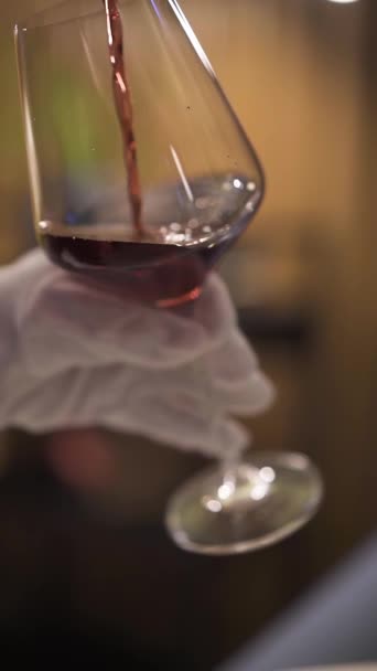 Číšník nalévá víno do sklenice. Večer v útulné restauraci. Svislé video Royalty Free Stock Video