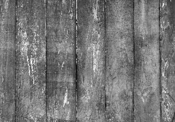 Shabby Barn Wood Wall. Grey Desk Slat Sheet Material Background. Weathered Grunge Barn Surface Isolated Backdrop.
