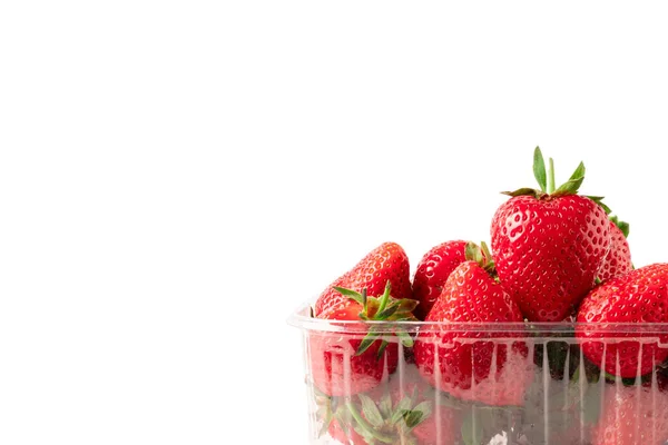 Erdbeere Plastikbehälter Isoliert Auf Weißem Hintergrund Erdbeeren Klarer Punnet Nahaufnahme — Stockfoto